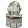 Epacket LED Diamond Visserij flitsende lichte druppel onderwater Acryl Aas Lure Squid Strobe Lights 5 Colors For Choose308J208R3075956