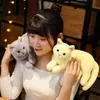 Rodzaje nadziewanych realistycznych kotów Symulacja Symulacja Klienta Śliczna kota lalka Pet Toys Decor Decor Decor Prezent dla dziewcząt Prezent urodzinowy J220704