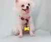 Creative Bone-Shaped Dog Tag Keychains DIY Food Grade Silicone Pet ID Card PET-taggar Keyring KeyChain SN4647