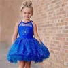 Girl039s vestidos bonito azul real curto flor meninas para vestidos de baile de casamento rendas halter keyhole volta ruched pequeno baile crianças for5722397