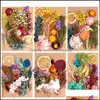 Dried Flowers Home Fragrances Decor Garden Real Flower Dry Plants For Wedding Party Decorations Diy Craft Aromatherapy Candle Living Room