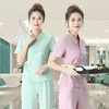 Aziatische etnische kleding vrouwen elegante pakken top en broek Oriental Hanfu V-hals kledingstuk schoonheidsspecialiste kostuum werk uniforme thee kunstkleding