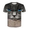camisas del animal doméstico para los gatos