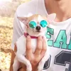 Hundklädstil ögonkläder Pet Solglasögon Multicolor for Products Pos Props Accessories levererar kattglasskoghund