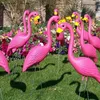 Flamingo Decoração de Lawn Decoração Artificial Fatuetas de plástico pátio Ornamento ARTES VELHAS ARTES DE CASAMENTO Jardim 220721