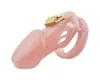 sexy Toys SmallStandard Male Chastity Device Cock Cage with 5 Size Rings Brass Lock Locking Number Tags2392016