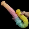 Nxy dildo's nieuwe vloeibare siliconen dubbele kop penis lange vrouwelijke anale plug massage huid valse volwassen masturbatie apparatuur 0316