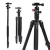 Treppiede per fotocamera Pro Monopiede leggero in lega di alluminio con piastra a sgancio rapido con testa a sfera per treppiedi SLR Loga22