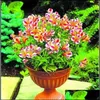 Diğer Bahçe Malzemeleri Veranda Çim Home 100 PCS Alstroemeria Tohumları Peru Lily Inca Bandit Prenses Bonsai Çiçek Planta