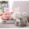 15cm20cm kawaii 귀여운 핑크 토끼 동물 토끼 박제 봉제 장난감 생일 선물 220707