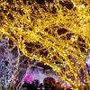 Strängar 3m 5m Koppartråd Led USB Fjärrkontroll Strängljus Firecracker Fairy Garland Lampa till julfönster Bröllopsfestinredning