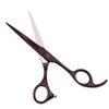 5.5 6.0 Forbici professionali per parrucchieri Assottigliamento Barbiere Set Cesoie da taglio Giappone Acciaio 440C Scissor 1008 # 220317
