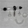 Rökningstillbehör mini glasrör med 10 mm 14 mm 18mm titan quartz spets olje rigg koncentrat dab halm för glas bong