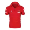 Мужские рубашки поло Summer Formula One Racer Alonso F1 Alpine Team Racing Fans Мужские / женские рубашки с короткими рукавами Футболки большого размера U6CO