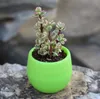 Colourful Round Plastic Plant Flower Pot Planter Garden Bed Home Office Decor Planter Desktop Pots