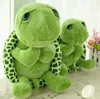 Spot 20см плюшевые куклы супер зеленые большие глаза черепаха черепаха животных детей младенца день рождения рождественский игрушечный подарок