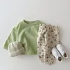 T-shirts 2pcs bébé tenues bebes Born girl garçon solide couleur carton oreilles à manches longues tops à capuche