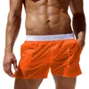 Men's Swimwear Swim Shorts Sexy Swimming Trunks See-through Design PantsMen's Men'sMen's
