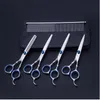 Hund Grooming Pet Scissors Grooming Tool Set Decoration Hair Shears Curved Cat Shearing Hairdress Supplies298y