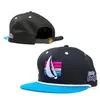 Новый дизайн бейсбэк шляпа Snapback Baseball Cap Hip Hop Регулируемая розовая бренда Dolphin для мужчин Women 33013021201