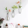 Creative Wall Decor Hanging Vase Home Decoration Iron Wire Glass Water Planting Vases Living Room Party Decorative Flowers Vases BH7199 TQQ