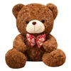 2022 Peluche di cartone animato intero di animali di peluche Adorabile orsetto da 25 cm come regalo per bambini e ragazze2285465