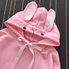 Hoodies للنساء من النوع الثقيل الإناث كرتون امرأة على الطراز الكوري الطويل الأكمام الطويلة