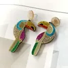 Colori pappagalli che penzolano hiphop roccia hiphop gelitter gelitter di uccelli acrilici orecchini per uccelli per donne accessori di moda 27083675906
