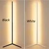 Modern LED Floor RGB Light Colorful Lamps For Living Room Home standing lamp Indoor Lighting Corner Lamp