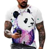 Été Panda 3D Imprimer Hommes T-shirts Streetwear Lâche ONeck À Manches Courtes Tops T-shirts Hommes Vêtements Surdimensionné T-shirt Pour Hommes 6XL 220607