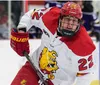 Maglia da hockey cucita NCAA Custom Ferris State Bulldogs 29 George Harrison 14 Chris Kunitz Rob Collins Taylor Nelson Chad Billins Randy Merrifield Brett Colborne