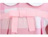 Vestidos de manga longa de meninas de meninas bebês primavera, o outono da primavera, rosa princesa Bowknot Dress Girl Saias de algodão Salia de 2-8 anos