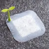 Filtre d'évier de sol Forme de germes de soja Mignon Couverture de déodorant d'égout en silicone Drain de douche Couvercle anti-odeur Bouchon de baignoire anti-insectes
