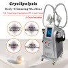 Terapia a vácuo Máquina de congelamento de gordura Cryolipólise Perda de peso Remoção abdominal de celulite RF Moldação de cavitação Uso multifuncional