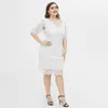 プラスサイズのドレスホワイトレースドレス女性2022夏の女性vネックハーフスリーブホロウアウトフローラルエレアグニットパーティーの女性衣料品