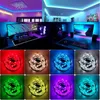 Remsor remsa lampor RGB 2835 Bluetooth Control USB Flexibel lampa 5v bandbanddiod för festivalrum dator -TV -skrivbordsverktyg LED