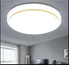 Dôme LED Light Round Droplight du salon Corridor Balcony lampe étude des lampes de chambre à coucher les lampes et les lanternes AC110V-250V259W