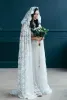 Lily Collins Inspired Wedding Veil with Hood 2023 Chapel Long Bridal Cape Fully Lace Western British Victorian Cloak Cover Up White Black Blush