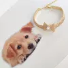 Collari per cani Guinzagli Bling Crystal Diamond Collar Puppy Pet Shiny Bowknot Collana con strass per cani di taglia piccola e media Forniture per gatti