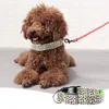 Colliers pour chiens laisses pour animaux de compagnie LED collier lumineux imprimé léopard réglable petit collier de sécurité pour la marche en plein air la nuitDog LeashesDog
