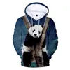 Męskie bluzy bluzy Pełna druk panda mężczyźni kobiety pullovers hip hop streetwear jesienne dzieci dzieci swobodne chłopcy dziewczęta dressmen's