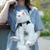 Transportadores de Hoopet para cães Pet Backpack Mesh Produtos de viagem ao ar livre Bolsas de ombro respiráveis ​​Cats pequenos 220510
