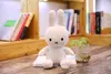 2022 Fyllda djur Partihandel Cartoon Plysch Leksaker Lovely 25cm Lucky Soft Rabbit Mascot Dolls