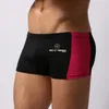 Caleçons PERSONNE Boxers Slips Hommes Sous-Vêtements Soyeux Confortable Nylon Mince Respirant Sexy Culottes TrunksSous-Vêtements