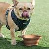 Pedro de perros Pet Bowl Pet Comida Agua Silicona Declar