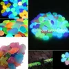 1050pcs Luminous Glowing Stones Shell Shaped Starfish Shell For Fish Tank Table Walkways Garden Glow in the Dark Pebbles Decor 220531