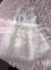 Девушка платья девочки белое кружевное платье лето с коротким рукавом сетка сетка Торт Smash Tub