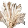 Flores decorativas grinaldas 100pcs buquê natural pampas seco de grama flor boho decoração para casamento floral