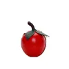 Torby wieczorowe Dziewczyna Mini Osobowość Torba łańcucha jabłkowego 2022 Zabawny projekt Ins Net Red Women Cute Damena Monety na ramię
