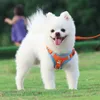 Köpek yakaları taslak eğitim evcil hayvan yelek yok tasarım tasma göğüs kablo demeti naylon yumuşak yürüyüş için kontrolü kolay koşudog